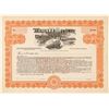 Image 1 : Hawaii Consolidated Railway, Ltd. Stock Certificate  (101542)