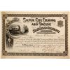 Image 1 : Silver City, Deming and Pacific Railroad Co. stock  (81760)