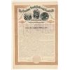 Image 1 : The London, South Park and Leadville Railroad Co.  (102432)