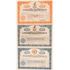 Image 1 : Three Different Baltimore Oriole Stocks  (101418)