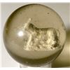 Image 1 : Marble / " Walking Donkey Sulphide"   (100642)