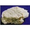 Image 1 : Gold in Quartz from Calaveras, California  (103125)