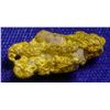 Image 1 : Gold Nugget from Humboldt Co., California  (103127)