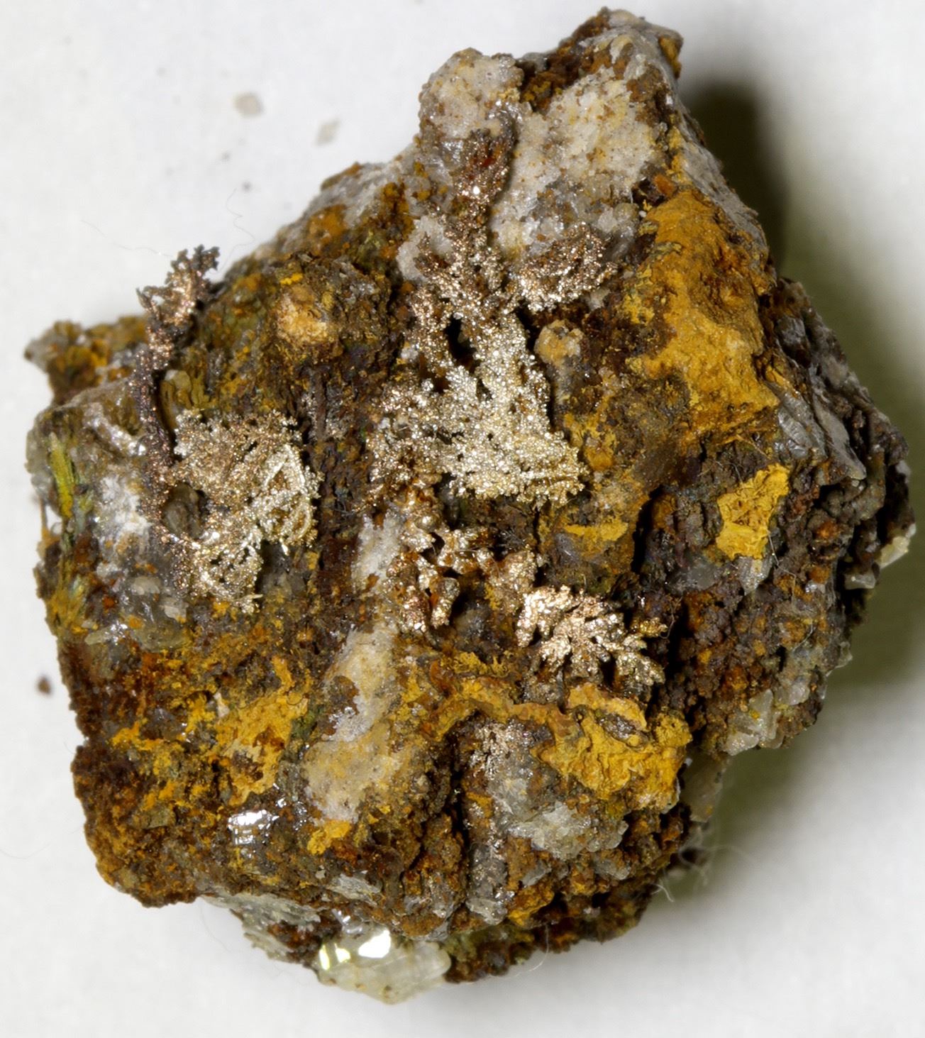 Silver Specimen Dendritic Silver Specimen from Creede, Colorado (103033) - Holabird ...