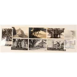 Hawaii Postcards RPC's  (91205)