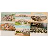 Image 1 : Coronado, CA Postcards  (102369)