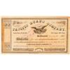 Image 1 : Pacific Guano Company Stock Certificate  (101491)