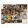 Image 1 : Petrified Forest Postcards (29)  (101795)