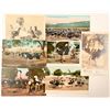 Image 1 : South Pasadena, CA Ostrich Farm Postcards  (102350)