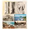 Image 1 : Trinidad/Prairie Creek, CA Postcards  (103182)
