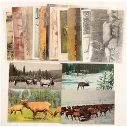 Elk Postcards  (91327)