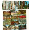 Image 1 : Cypress Gardens Florida Post Card Collection  (91194)