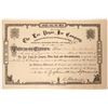 Image 1 : Las Vegas Mountain Ice Company Stock  (90549)