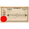 Image 1 : Fargo Insurance Company Stock Certificate  (100814)