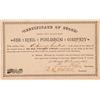 Image 1 : The Mail Publishing Company Stock Certificate  (100978)