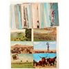Image 1 : Cattle Postcards  (102675)