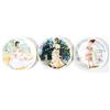 Image 1 : Limoges Collector Plates (3)  (101786)