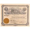 Image 1 : Cripple River Hydraulic Mining Company Stock  (101465)