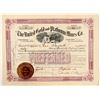 Image 1 : United Gold and Platinum Mines Company Stock  (91692)