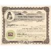 Image 1 : Vede King Copper Company Stock Certificate  (59597)