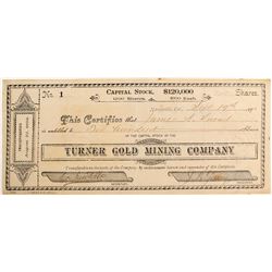 Turner Gold Mining Company  (81845)