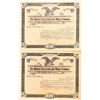 Image 1 : Banded Peak Land & Mining Co. Stock Certificates  (91573)