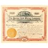 Image 1 : Banner Gold Mining Company Stock Certificate  (91574)