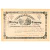 Image 1 : Alleghany Mining Company Stock Certificate  (91571)