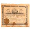 Image 1 : Amador-Lilla Mining Company Stock Certificate  (91817)