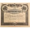 Image 1 : Goldfield Princess Mining Company Stock Certificate  (102509)