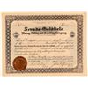 Image 1 : Nevada-Goldfield Mining, Milling, & Smelting Co. Stock  (102522)