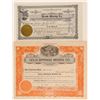 Image 1 : Two Rare Nye County Mining Stock Certificates   (101639)