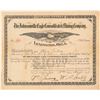 Image 1 : Johnsonville Eagle Cons. Mining Company Stock Certificate  (101541)