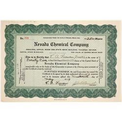 Nevada Chemical Company stock  (81865)