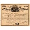 Image 1 : McGhee College & St. Louis Coal, Mining & Railroad Co.  (101387)