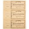 Image 1 : Republican Valley and Wyoming Railroad Company Stock Certificates  (81050)