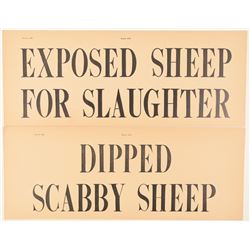 Scabby and Exposed Sheep  (99504)