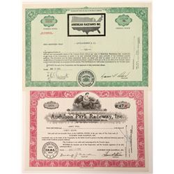 Two Raceway Stock Certificates  (91643)
