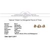 Image 3 : 2.75 ctw. Natural Trilliant Cut Morganite Parcel of Three