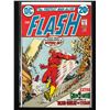 Image 1 : THE FLASH #221 (DC COMICS)