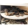 Image 10 : Mineral Collection