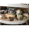 Image 14 : Mineral Collection