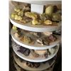 Image 6 : Mineral Collection