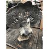 Image 4 : Peacock Lawn Statues