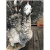 Image 5 : Peacock Lawn Statues