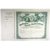 Image 1 : England. France. National Skating Palace Ltd. 1895 Share Certificate.