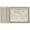 Image 1 : A.P.B. Investment Co. Ltd., 1945-1953 Group of 11 Cancelled Share Certificates.