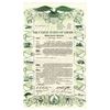 Image 1 : United States of America Government Life Insurance Policy, 1923