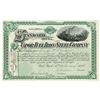 Image 1 : Vapor Fuel Iron and Steel Co., 1884 Issued Stock Certificate