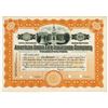 Image 1 : American Union Fire Insurance Co., 1920s Specimen Stock Certificate